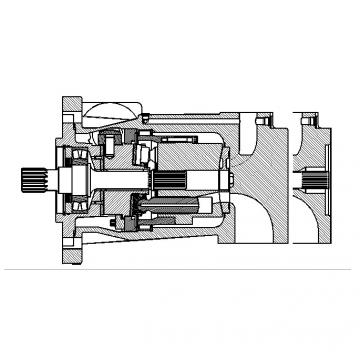 Dansion P080 series pump P080-02L1C-E10-00