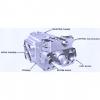 Dansion piston pump gold cup series P8P-7R5E-9A2-B00-0A0