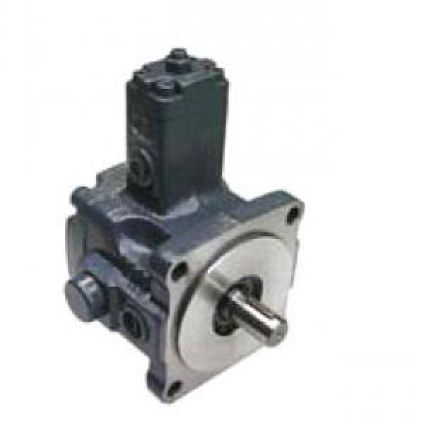 VPE-F30-D-10 Vane Pump #1 image