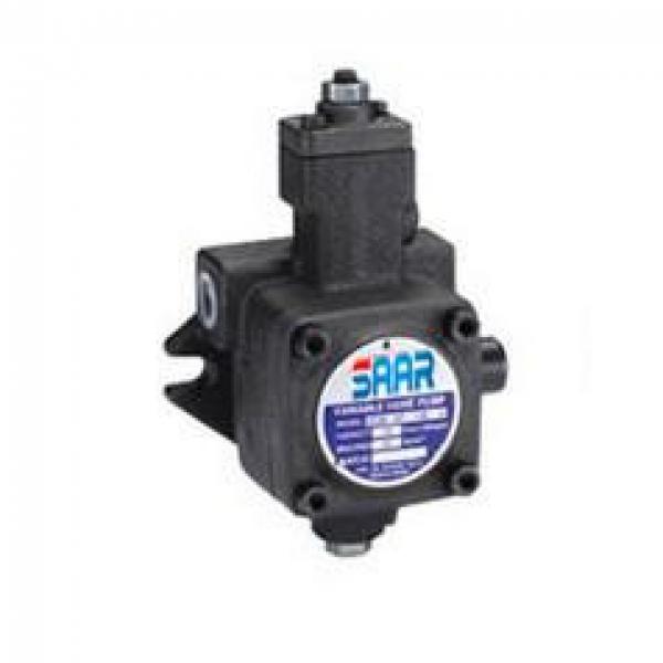 VP-40F-A3 Variable Displacement Vane Pump #1 image