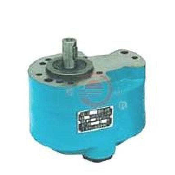 CB-B Australia Series Gear Pumps CB-B63 #1 image