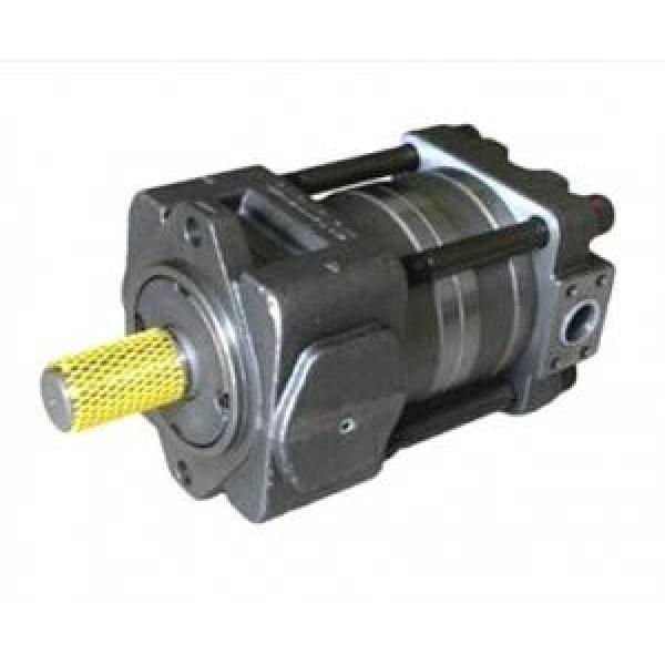 QT33-12.5L-A Canada QT Series Gear Pump #1 image