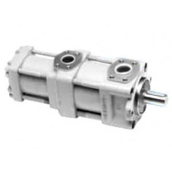 QT4123-50-6.3F China QT Series Double Gear Pump #1 image