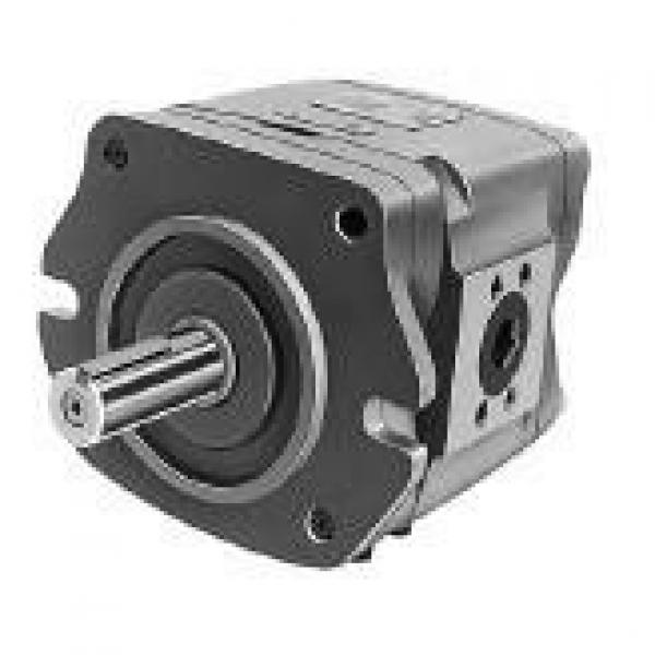 NACHI Russia IPH-6B-80-21 IPH SERIES IP PUMP #1 image