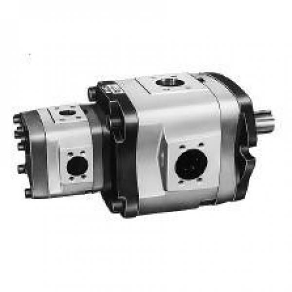 NACHI Mexico IPH-34B-13-20-11 IPH Series Double IP Pump #1 image