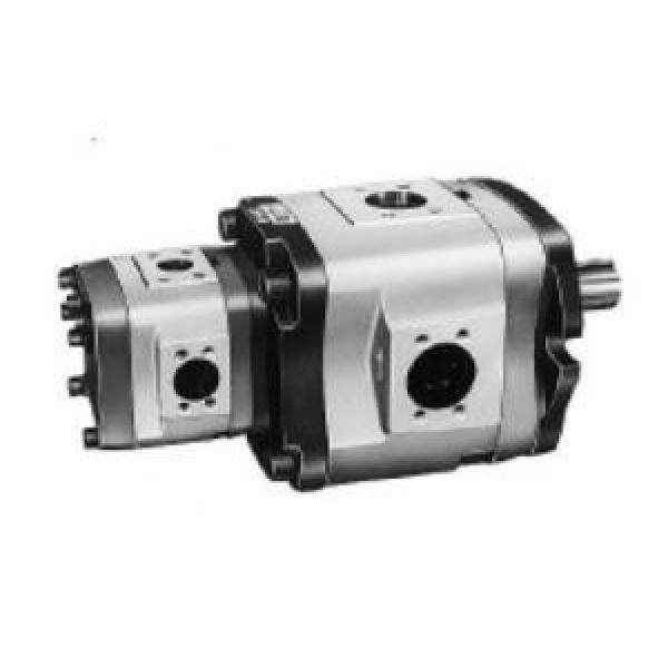 NACHI Russia IPH-56B-64-80-11  IPH Series Double IP Pump #1 image