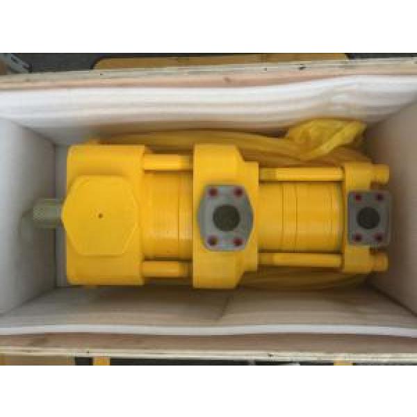 Sumitomo QT2323-6.3-6.3-A Double Gear Pump #1 image