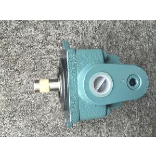 Daikin DS Series Single Stage Vane Pump #1 image