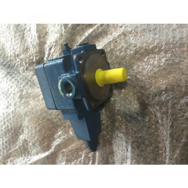 MANNESMAN REXROTH pumps 1PV2V3-40/12RA01MC63A1 #1 image